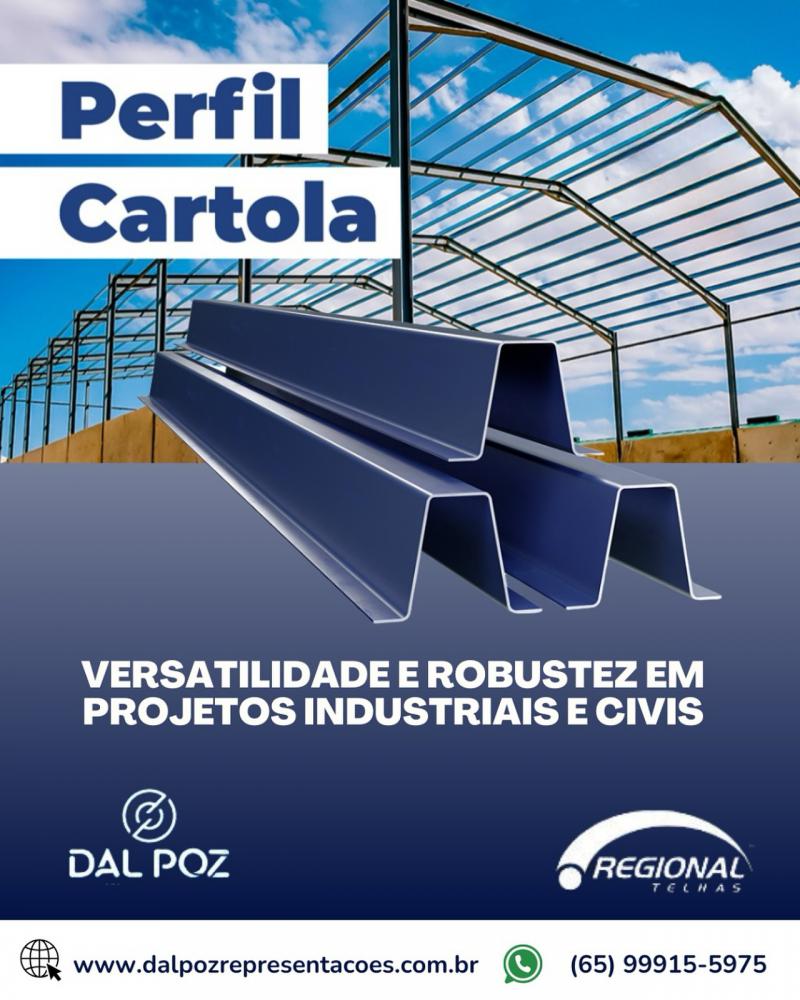 Perfil Estrutural Cartola RT Perfil Estrutural Cartola RT